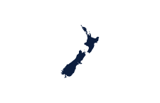 NZ - icon